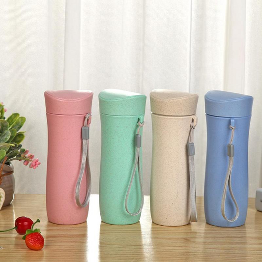 Water Bottle With Straw | 300ml Eco Drink Cup