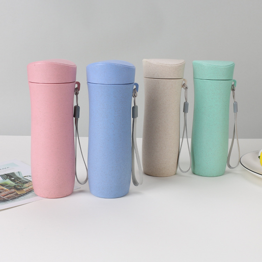 Water Bottle With Straw | 300ml Eco Drink Cup