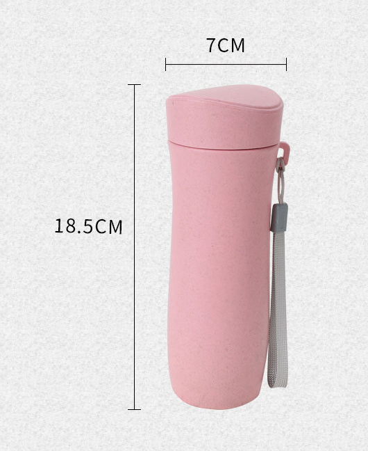 Water Bottle With Straw | 300ml Eco Drink Cup